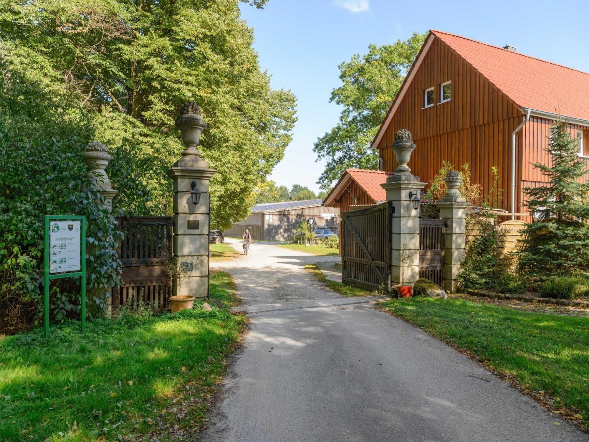 Cozy Holiday Home On A Horse Farm In The L Neburg Heath 埃舍德 外观 照片