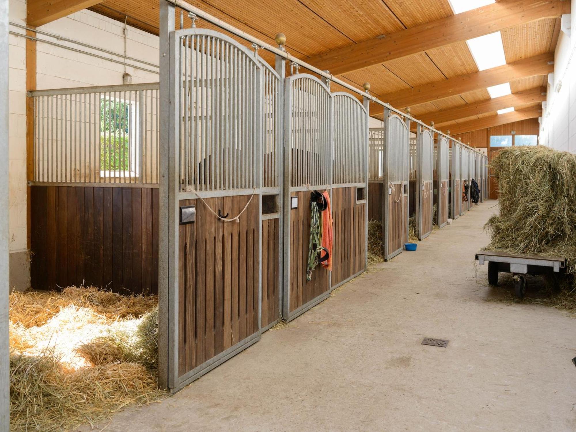 Cozy Holiday Home On A Horse Farm In The L Neburg Heath 埃舍德 外观 照片