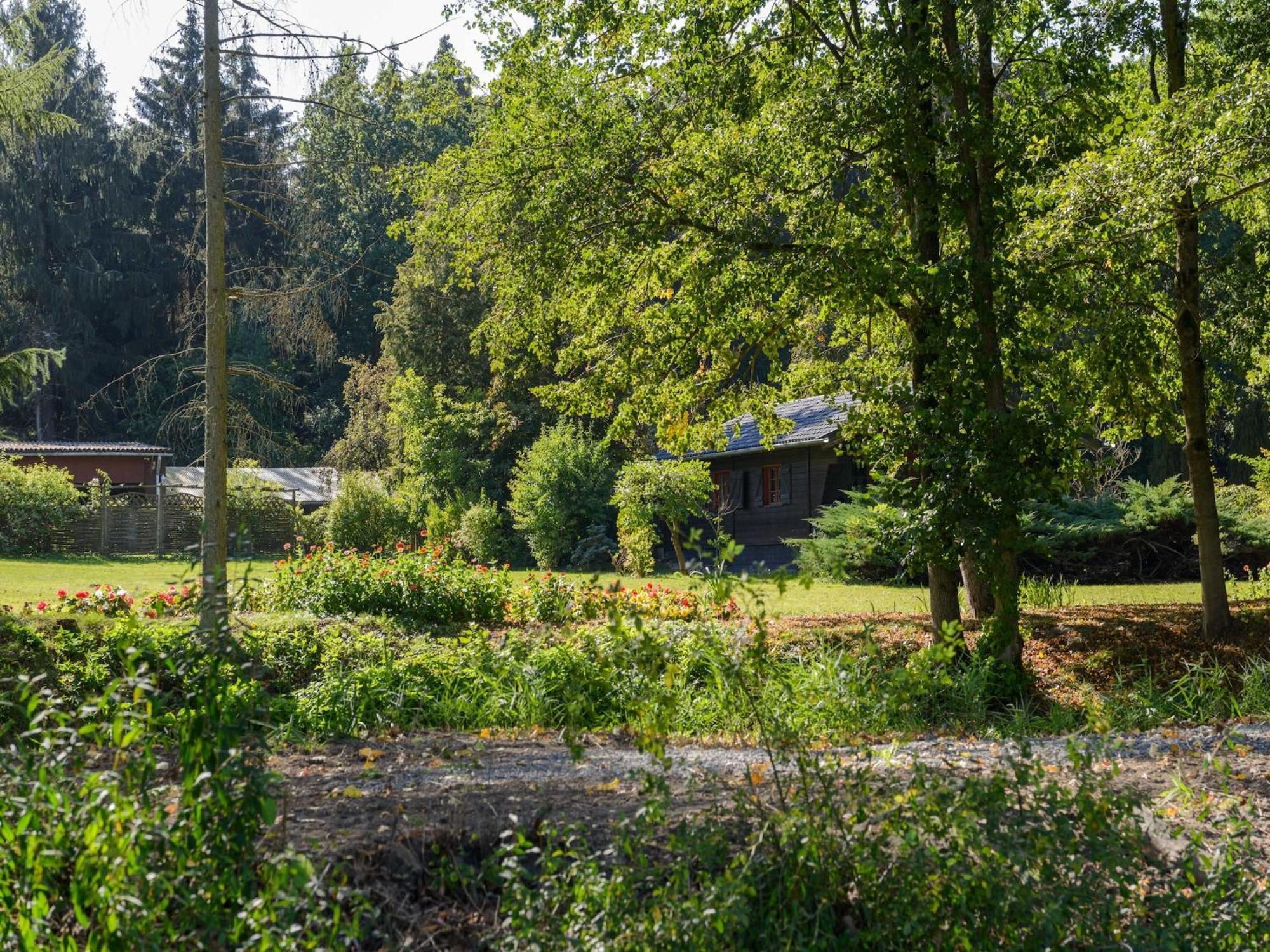 Cozy Holiday Home On A Horse Farm In The L Neburg Heath 埃舍德 外观 照片