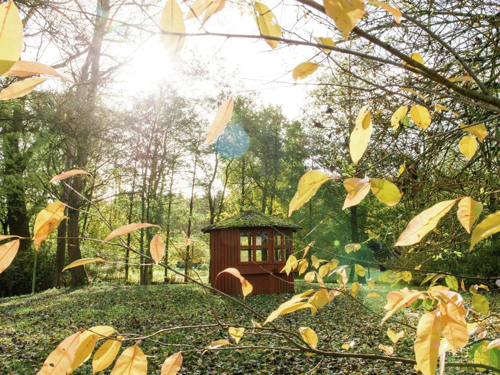 Cozy Holiday Home On A Horse Farm In The L Neburg Heath 埃舍德 外观 照片
