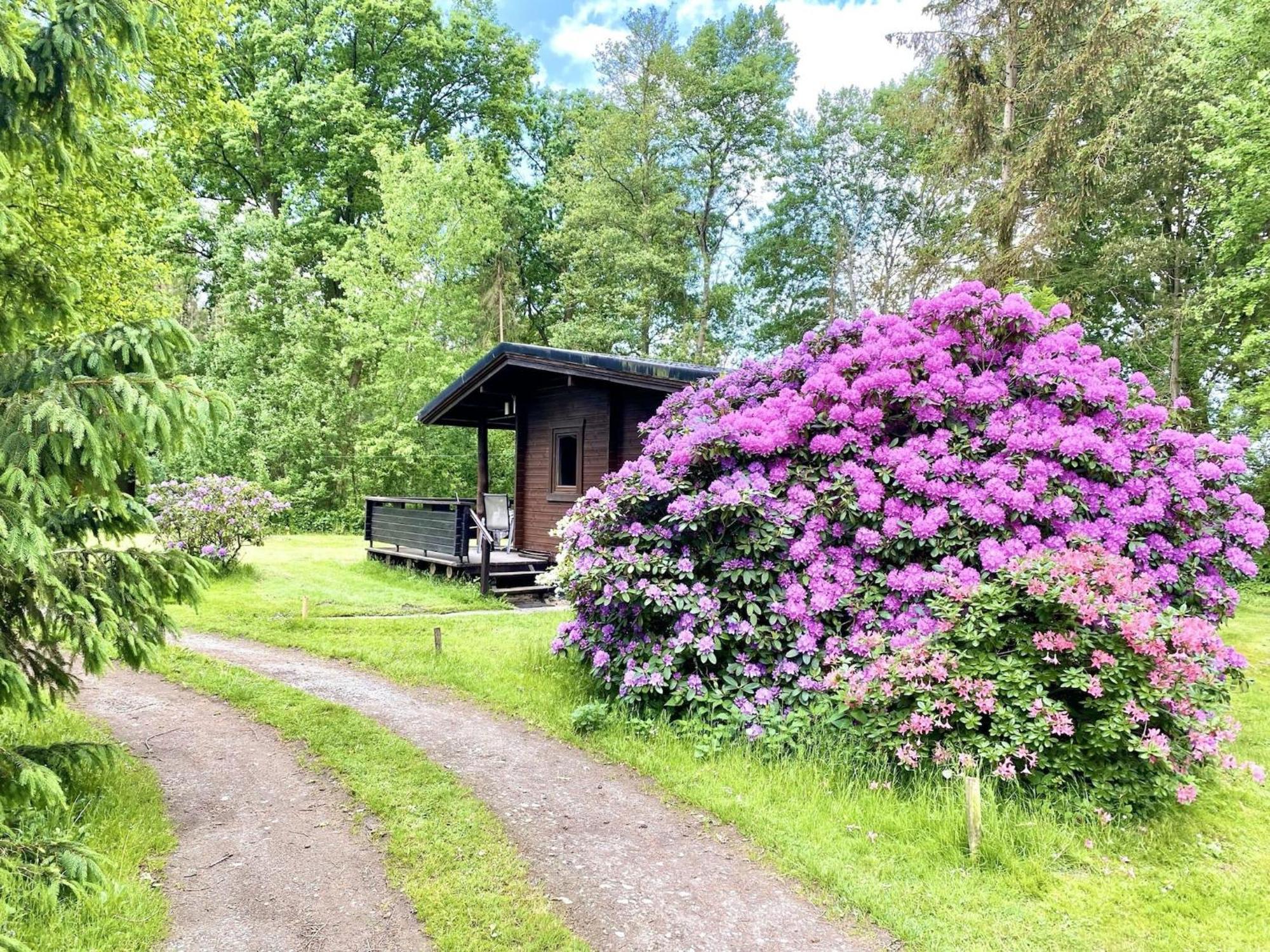 Cozy Holiday Home On A Horse Farm In The L Neburg Heath 埃舍德 外观 照片