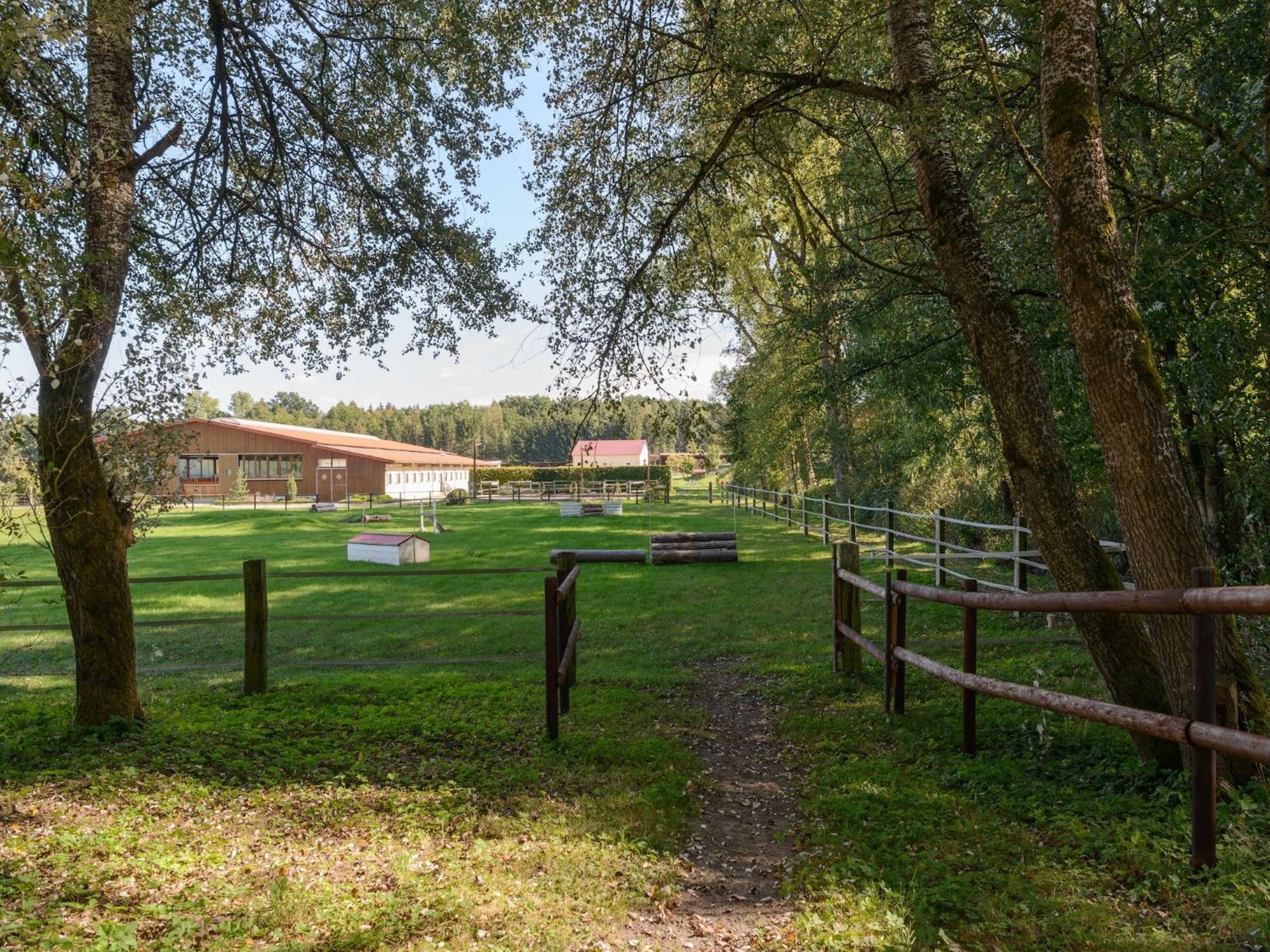 Cozy Holiday Home On A Horse Farm In The L Neburg Heath 埃舍德 外观 照片