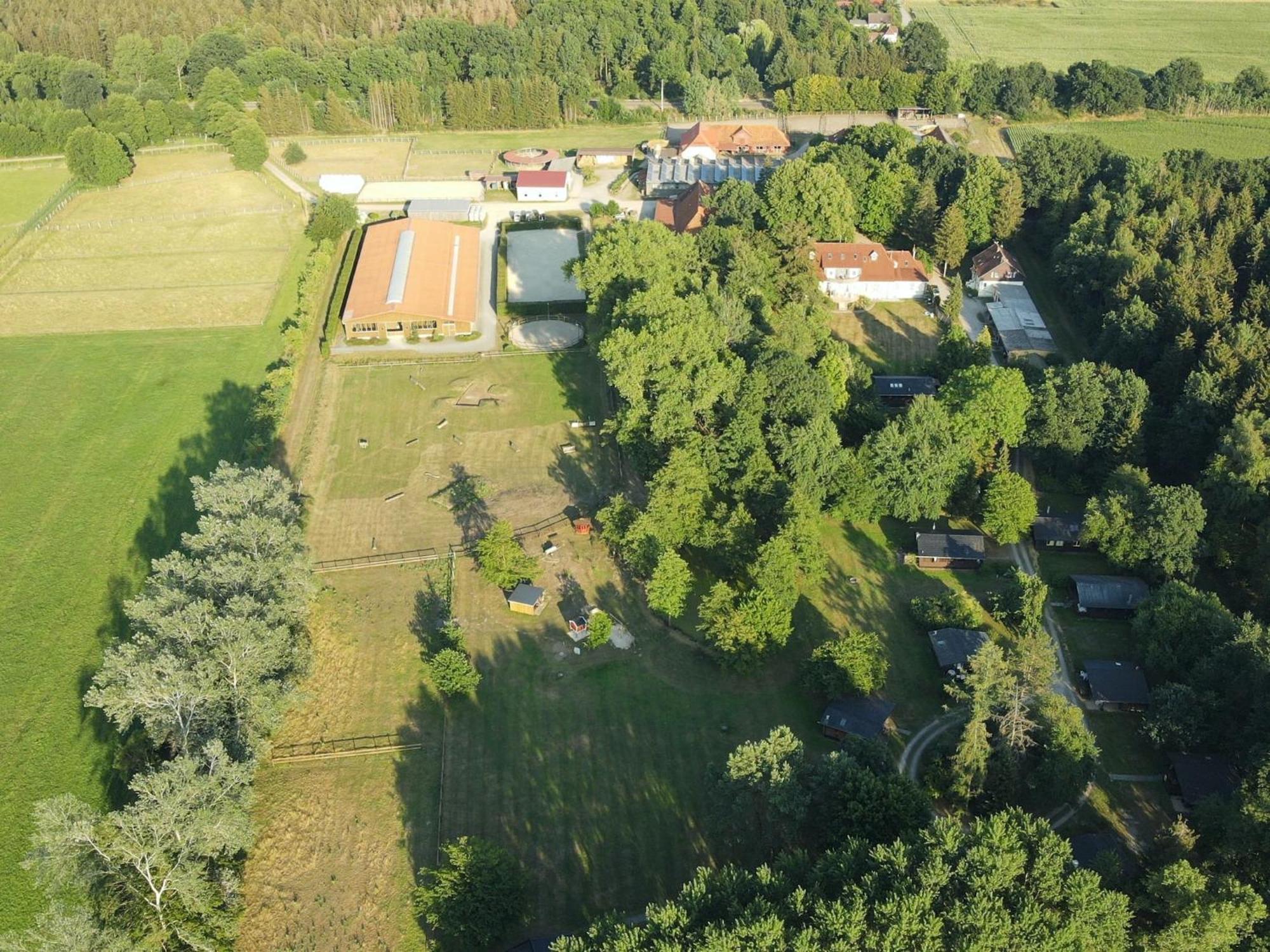 Cozy Holiday Home On A Horse Farm In The L Neburg Heath 埃舍德 外观 照片