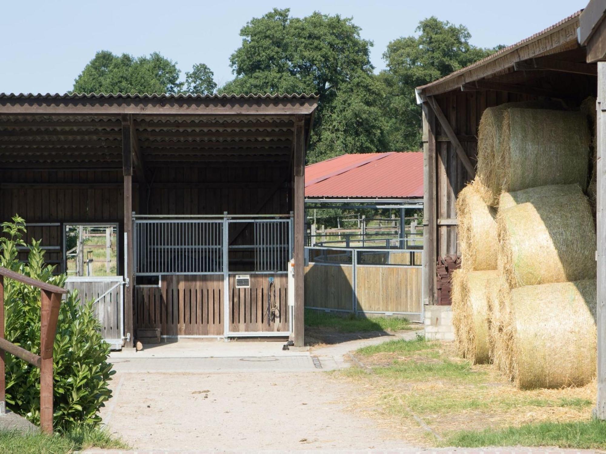 Cozy Holiday Home On A Horse Farm In The L Neburg Heath 埃舍德 外观 照片